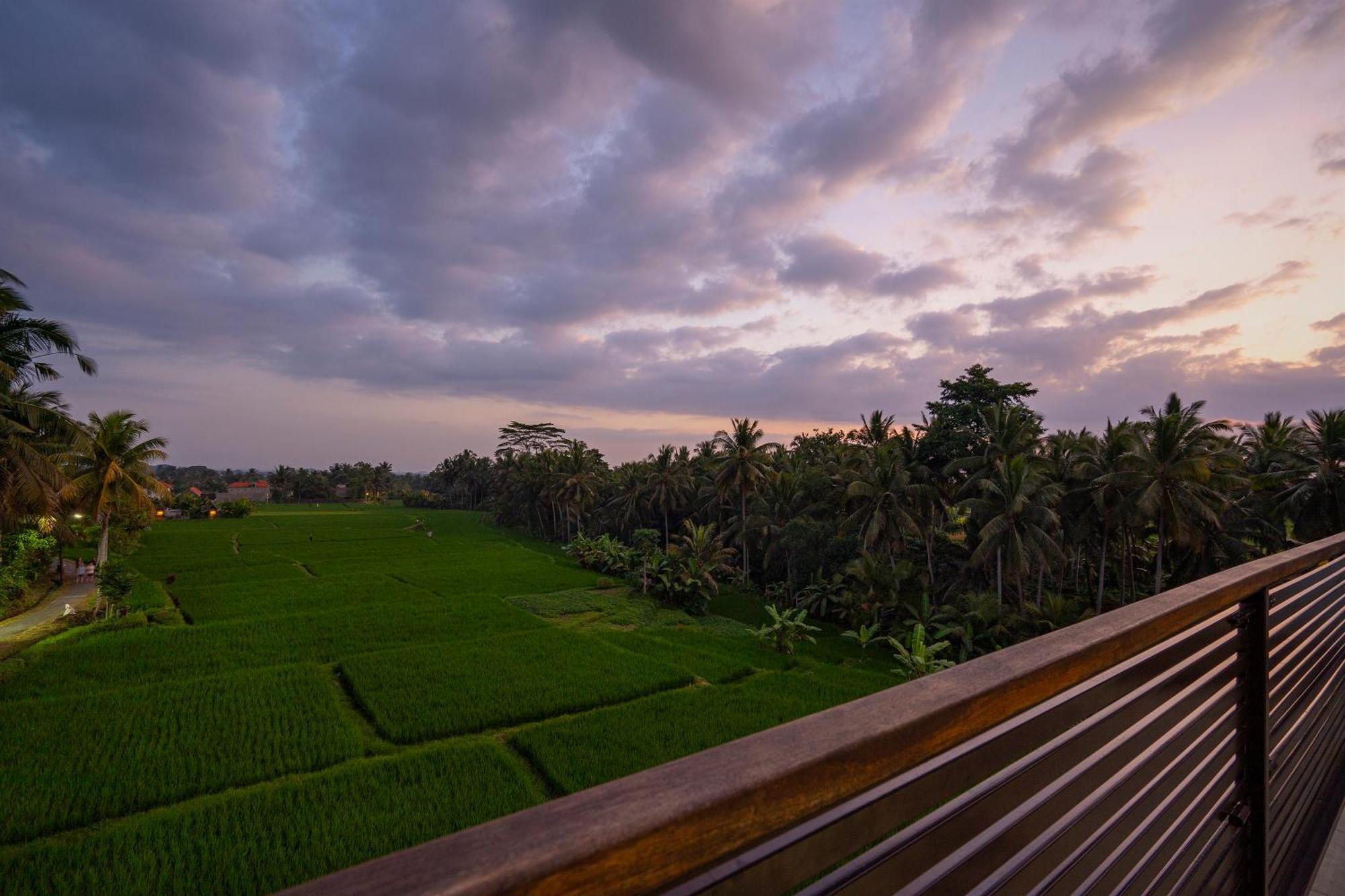 The Luxe Ubud מראה חיצוני תמונה